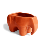 Elephant Ceramic Indoor Plant Pot Kit - Chive UK Wholesale