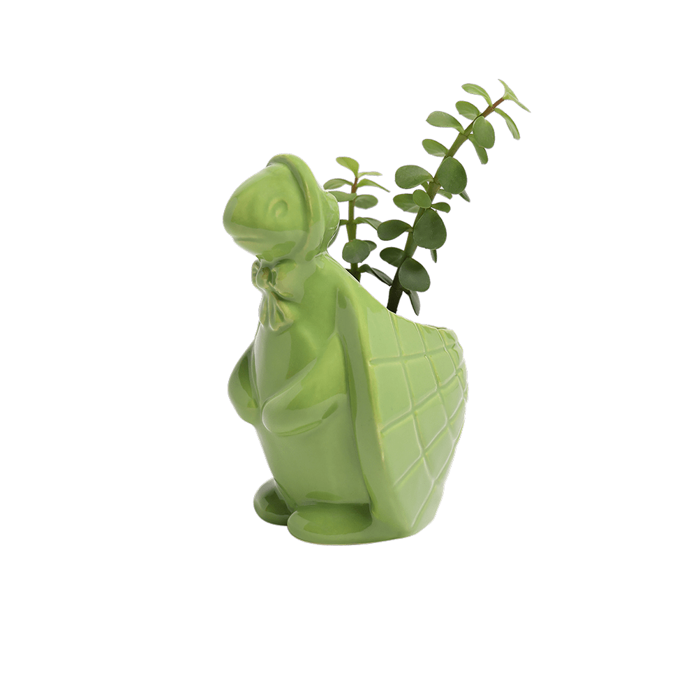 Turtle Ceramic Indoor Plant Pot For Succulents - Chive UK Wholesale