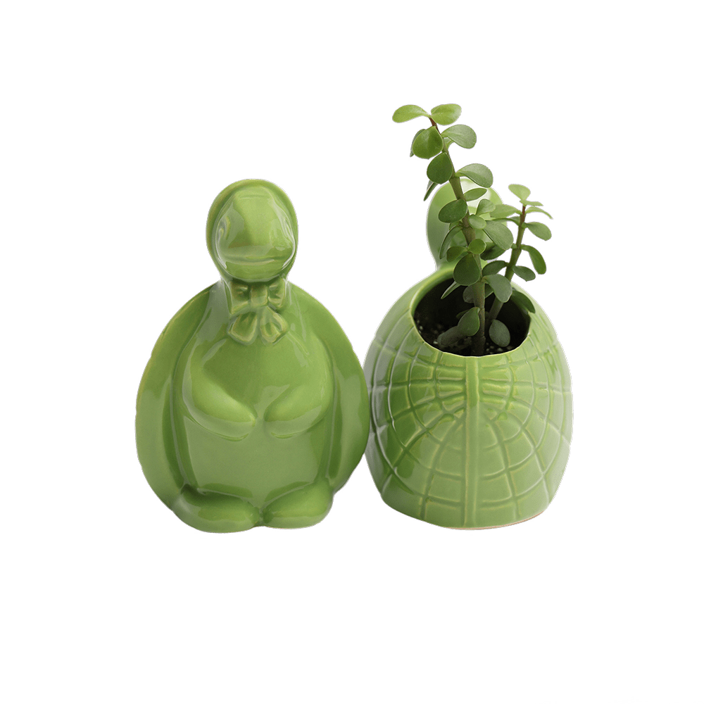 Turtle Ceramic Indoor Plant Pot For Succulents - Chive UK Wholesale