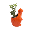 Turtle Ceramic Indoor Plant Pot For Succulents - Chive UK Wholesale