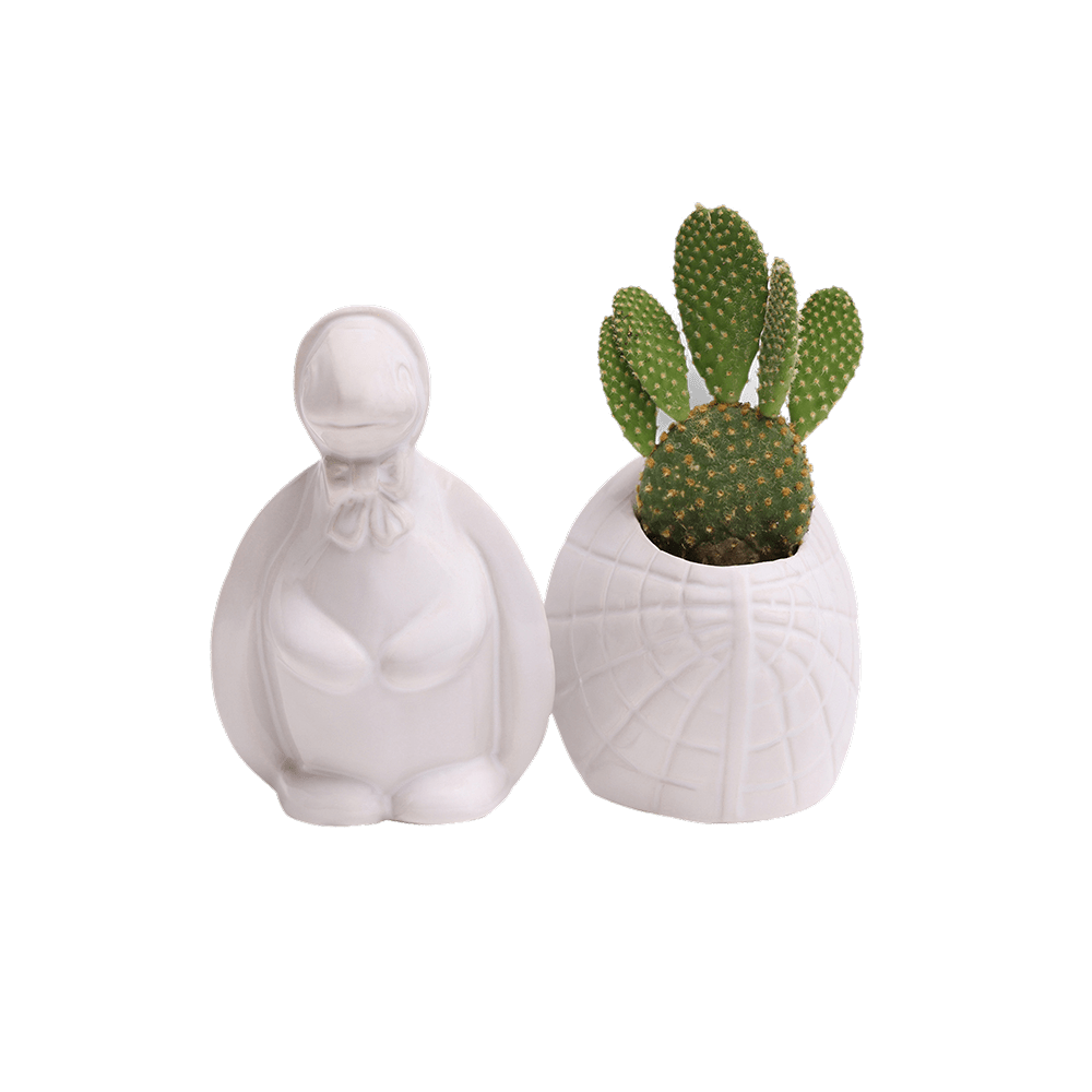 Turtle Ceramic Indoor Plant Pot For Succulents - Chive UK Wholesale