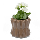 Fang Ceramic Modern Planter For Succulents - Chive UK Wholesale