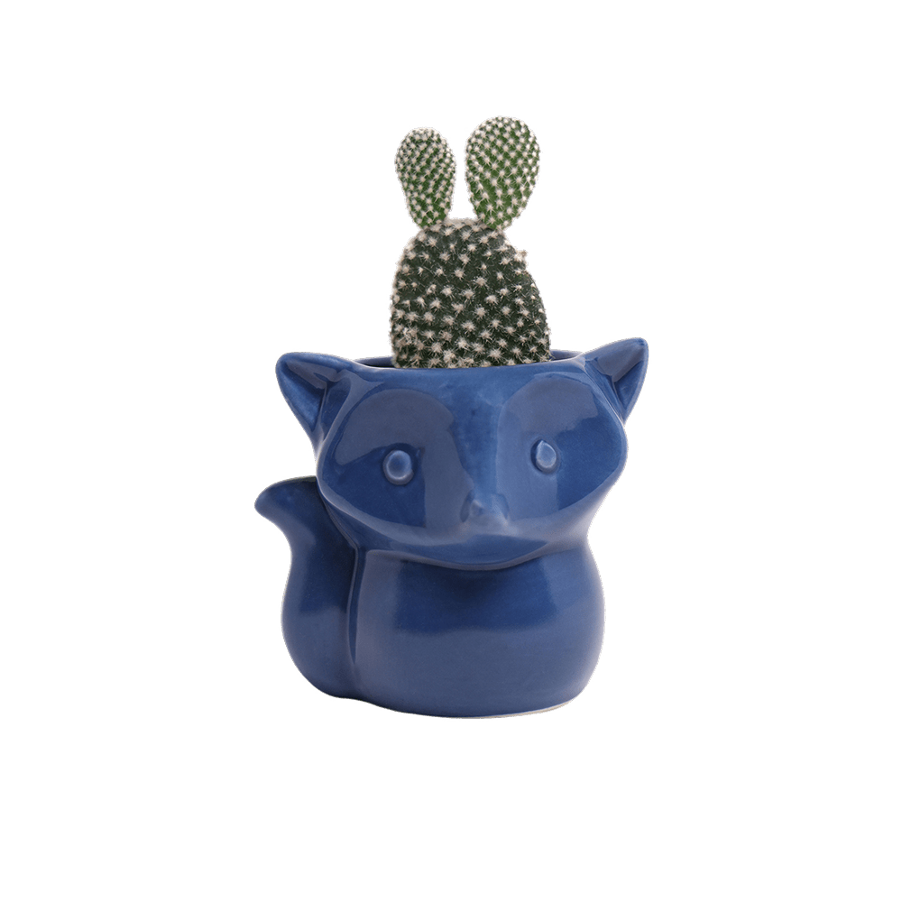 Fox Ceramic Indoor Plant Pot For Succulents - Chive UK Wholesale