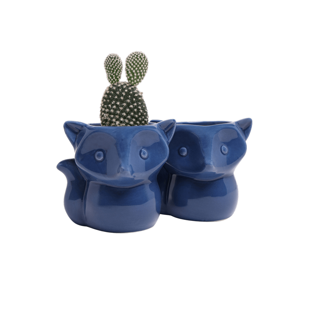 Fox Ceramic Indoor Plant Pot For Succulents - Chive UK Wholesale