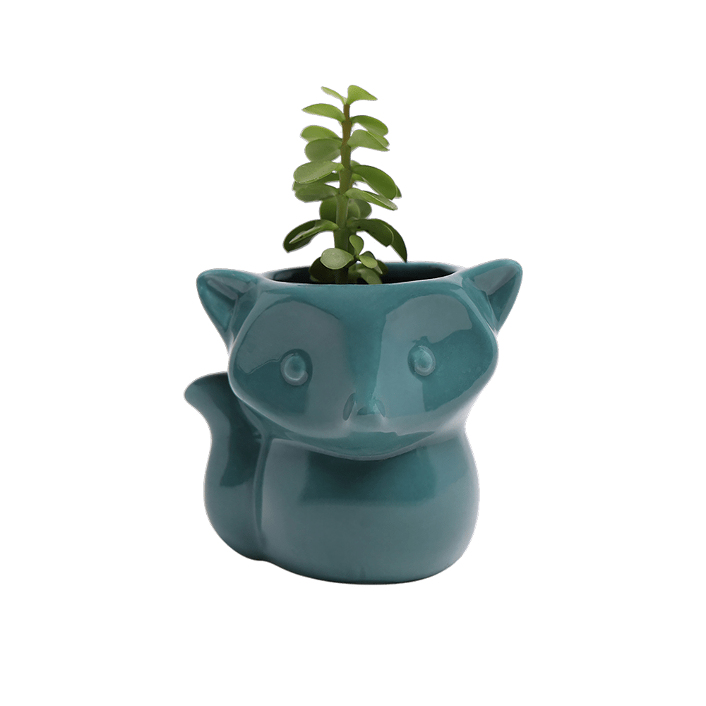 Fox Ceramic Indoor Plant Pot For Succulents - Chive UK Wholesale