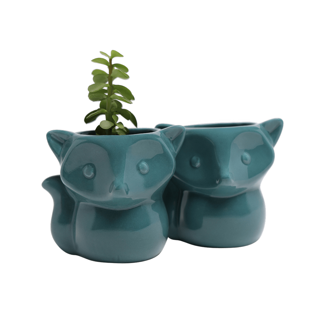 Fox Ceramic Indoor Plant Pot For Succulents - Chive UK Wholesale