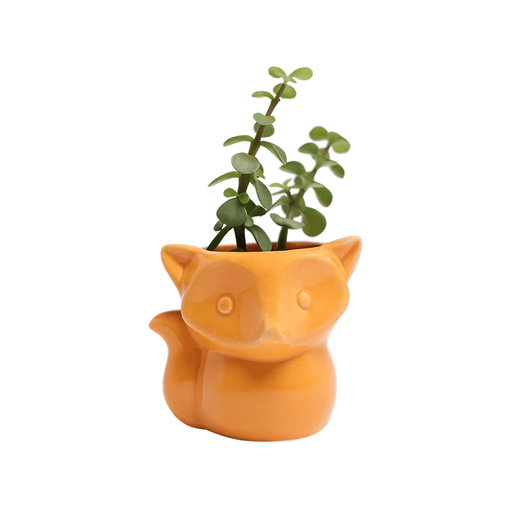 Fox Ceramic Indoor Plant Pot For Succulents - Chive UK Wholesale