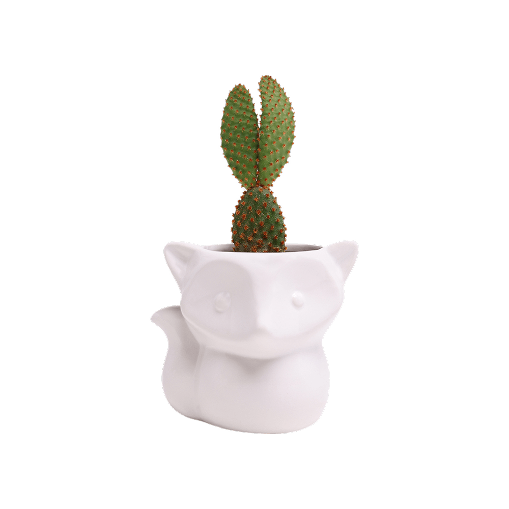 Fox Ceramic Indoor Plant Pot For Succulents - Chive UK Wholesale