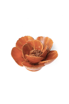 FR08 Burnt Orange Poppy - Chive UK Wholesale