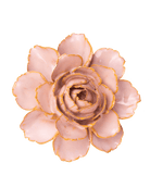 FR01 Rose Pink Camellia - Chive UK Wholesale