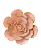 FR02 Peach Pink Cloni Ranunculus - Chive UK Wholesale