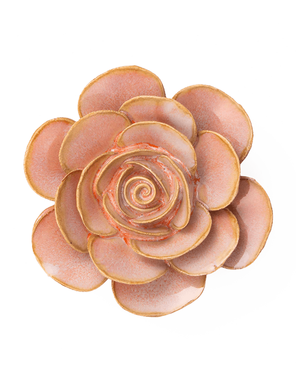 FR02 Peach Pink Cloni Ranunculus - Chive UK Wholesale