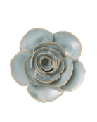 FR04 Milk Teal Elegance Ranunculus - Chive UK Wholesale