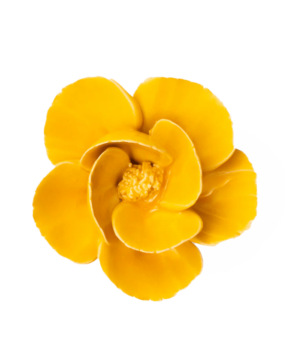 FR06 Burnt Yellow Poppy - Chive UK Wholesale