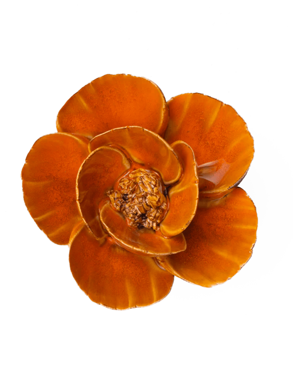 #FR08 Burnt Orange Poppy – Chive UK Wholesale