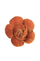 FR08 Burnt Orange Poppy - Chive UK Wholesale