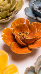 FR08 Burnt Orange Poppy - Chive UK Wholesale