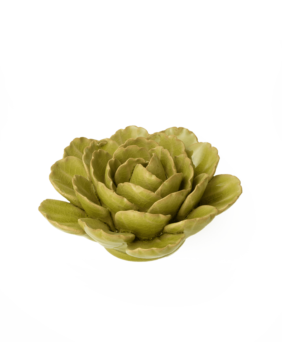 FR12 Peridot Keiko Peony - Chive UK Wholesale