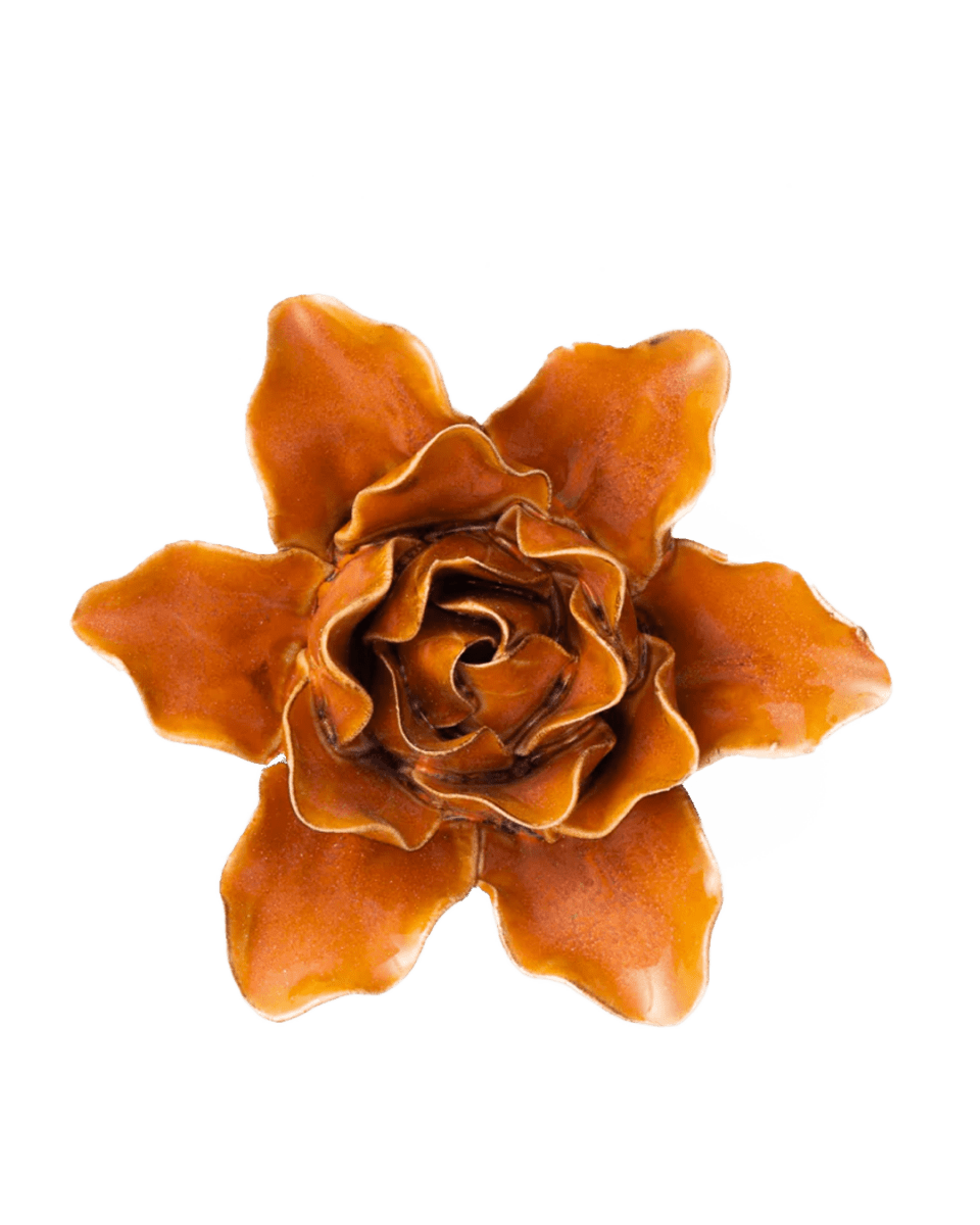 FR13 Burnt Orange Stargazer Lily - Chive UK Wholesale