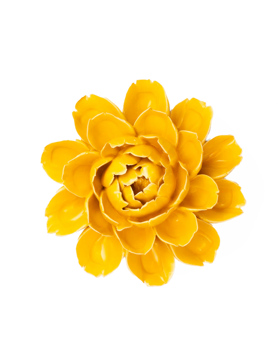 FR14 Burnt Yellow Empire Cabbage Flower - Chive UK Wholesale
