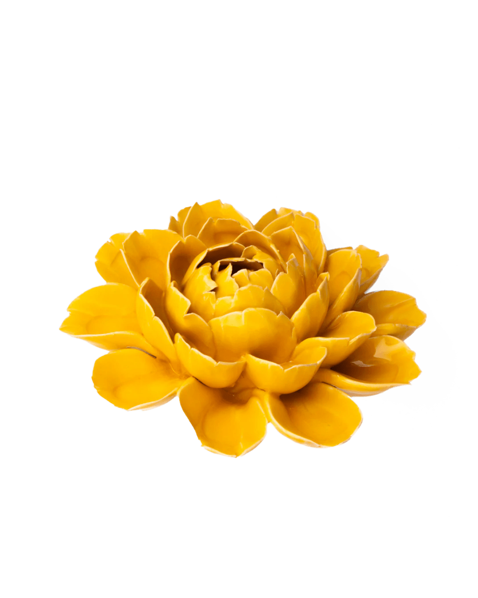 FR14 Burnt Yellow Empire Cabbage Flower - Chive UK Wholesale