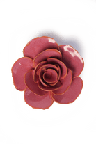 France Blush Pink Elegance Ranunculus - Chive UK Wholesale