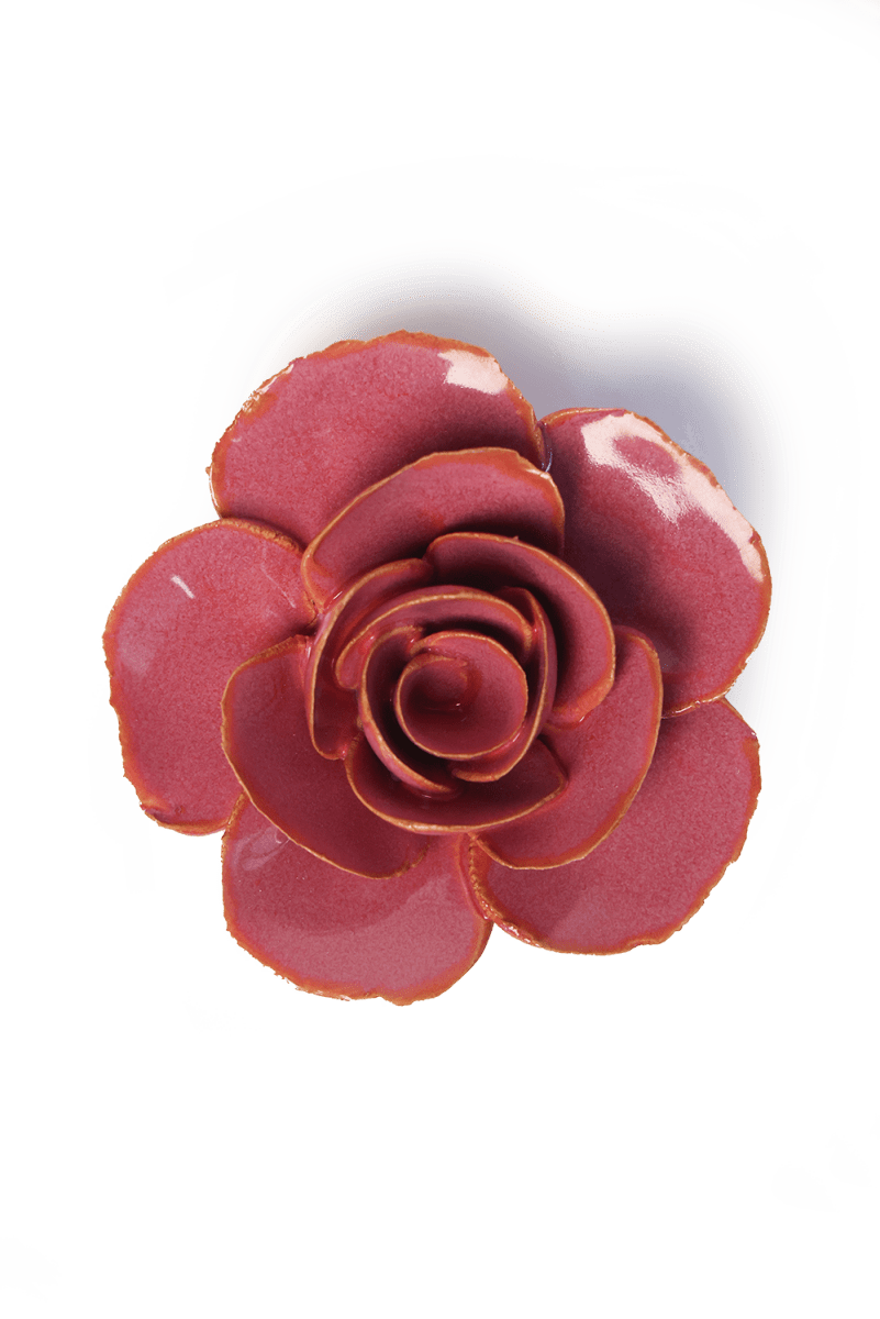 France Blush Pink Elegance Ranunculus - Chive UK Wholesale
