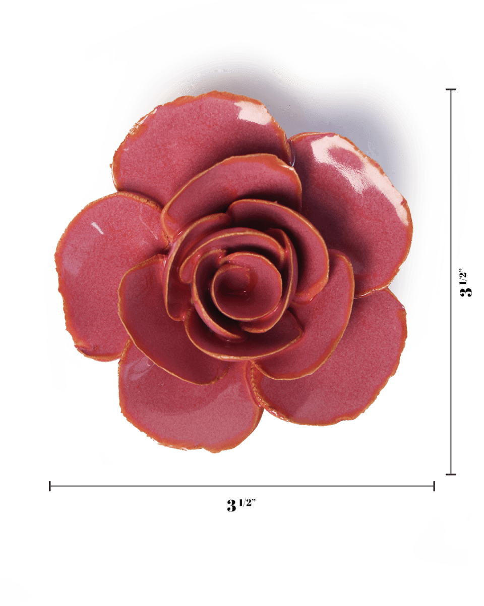 France Blush Pink Elegance Ranunculus - Chive UK Wholesale