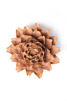 France Rose Pink King Protea - Chive UK Wholesale