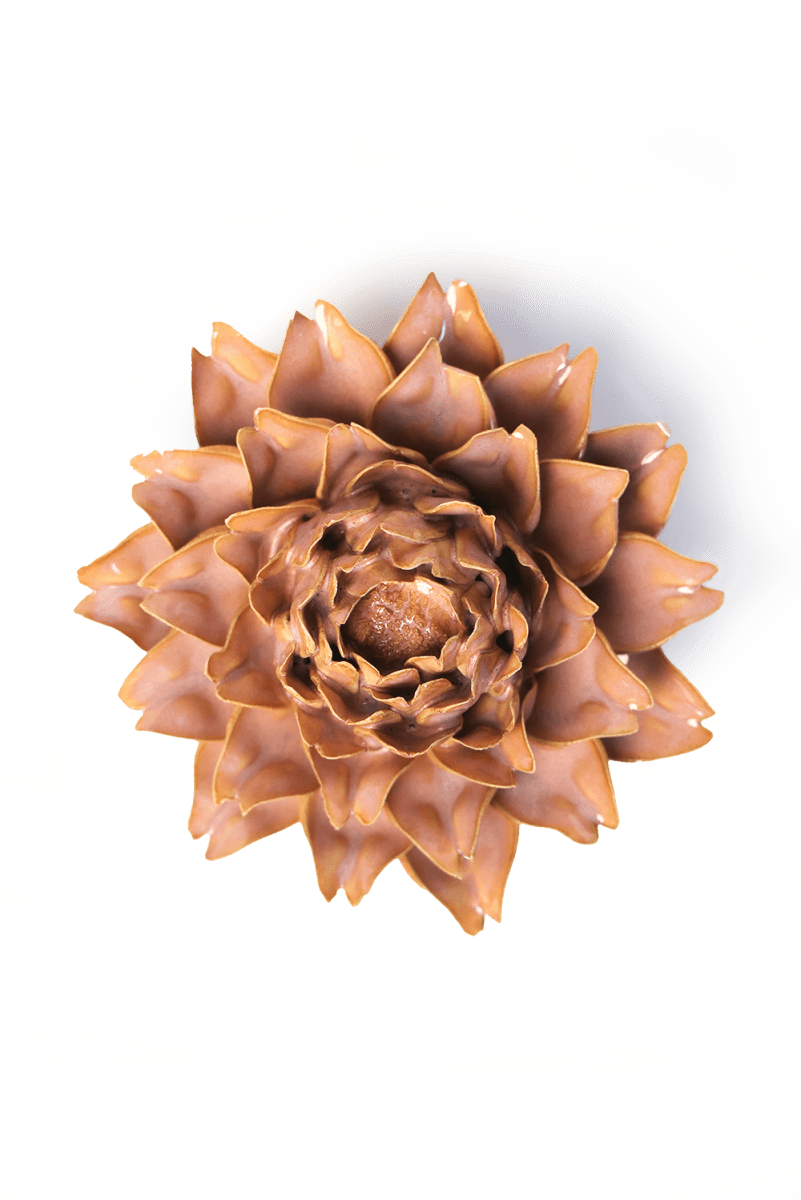 France Rose Pink King Protea - Chive UK Wholesale