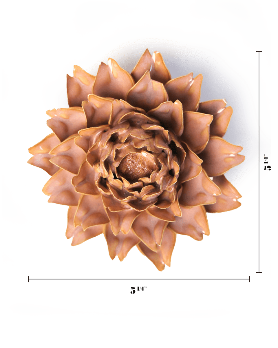 France Rose Pink King Protea - Chive UK Wholesale