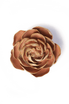 France Peach Pink Big Ben Peony - Chive UK Wholesale