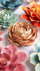 France Peach Pink Big Ben Peony - Chive UK Wholesale