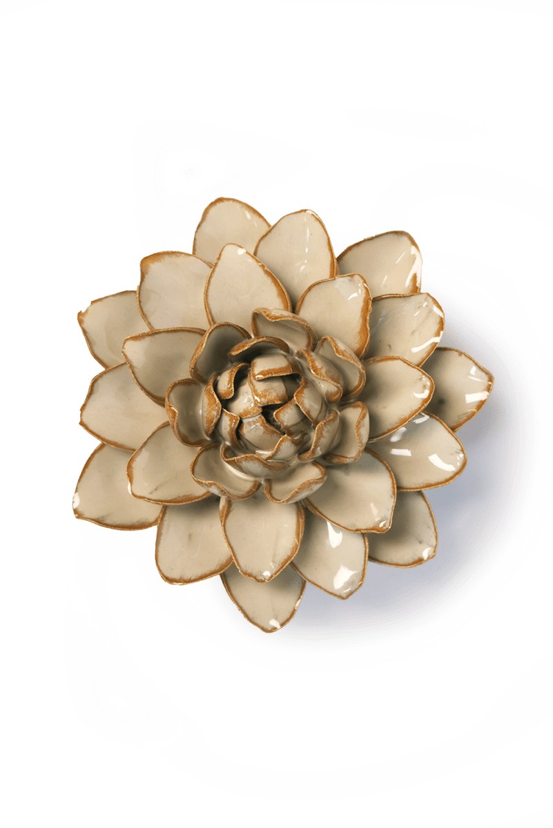 France Oatmeal Starbrite Water Lily - Chive UK Wholesale