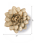 France Oatmeal Starbrite Water Lily - Chive UK Wholesale