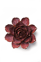 France Dewberry Camellia - Chive UK Wholesale