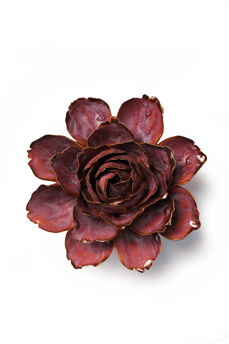France Dewberry Camellia - Chive UK Wholesale