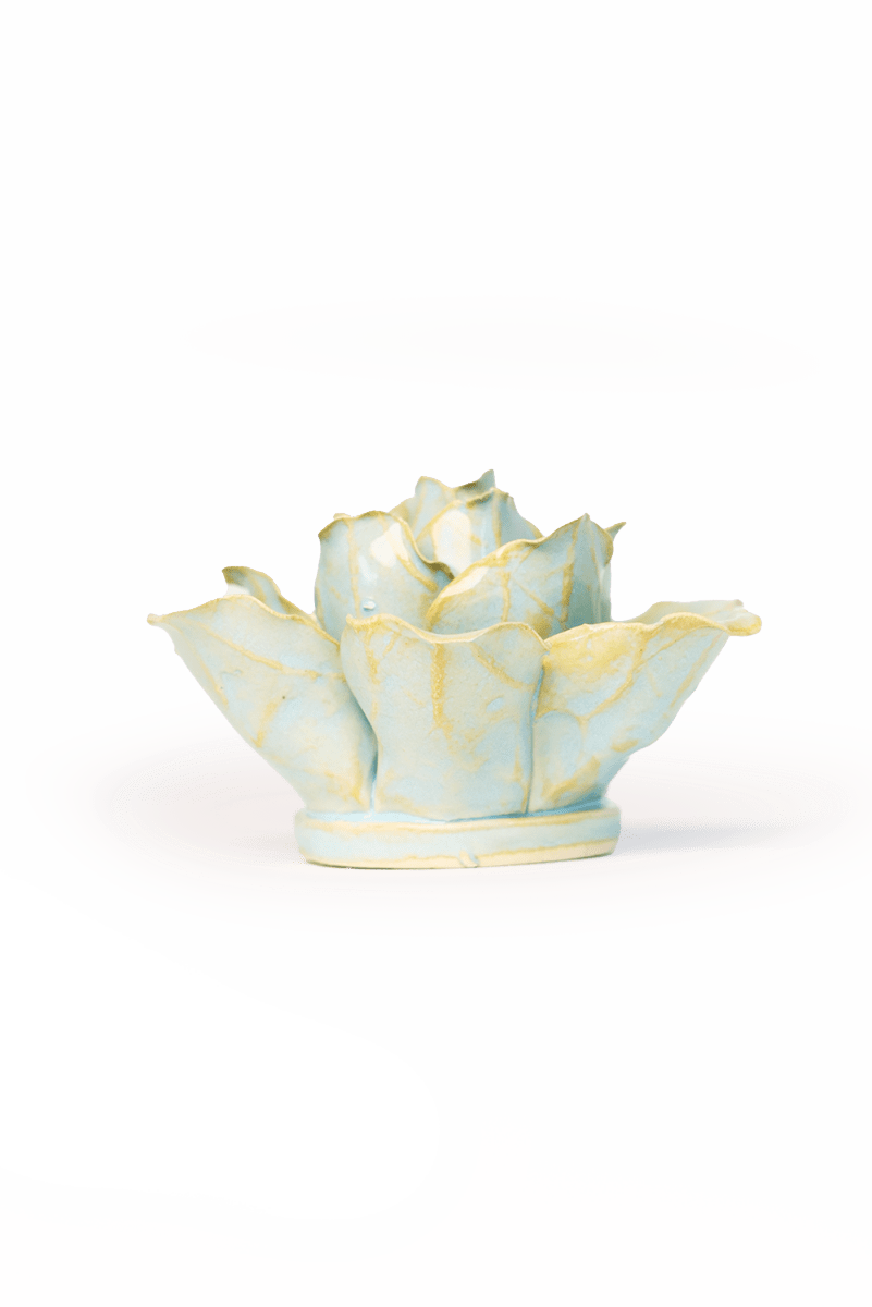 France Robin's Egg Blue Stargazer Lily - Chive UK Wholesale