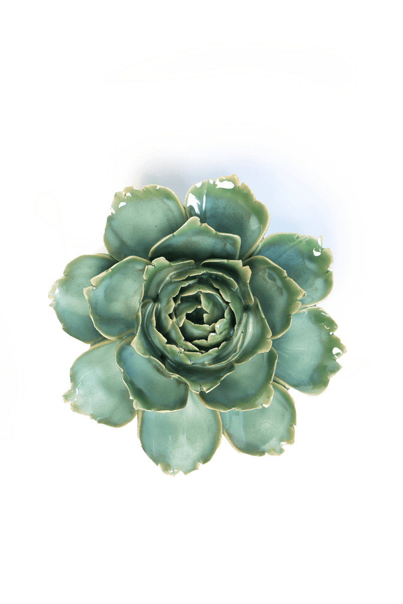France Milk Teal Camellia - Chive UK Wholesale