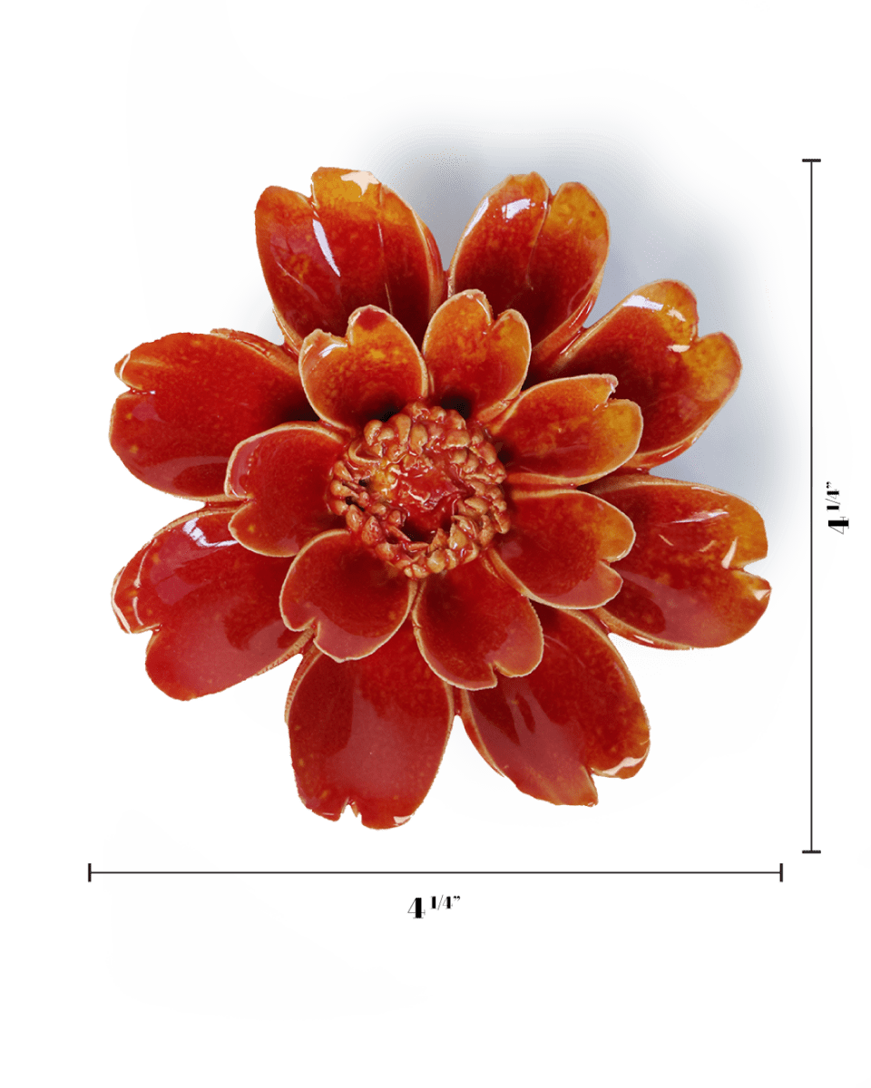 France Orange Yellow Paris Daisy - Chive UK Wholesale