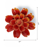 France Orange Yellow Paris Daisy - Chive UK Wholesale