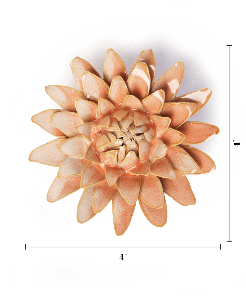 France Peach Pink Strawflower - Chive UK Wholesale