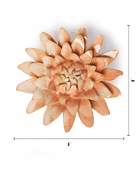 France Peach Pink Strawflower - Chive UK Wholesale