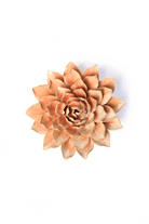 France Peach Pink Madonna Azalea - Chive UK Wholesale