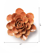 France Peach Pink Begonia - Chive UK Wholesale