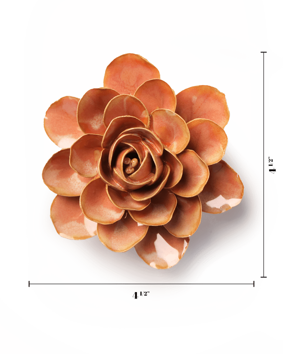France Peach Pink Begonia - Chive UK Wholesale