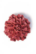 France Blush Pink Tundra Carnation - Chive UK Wholesale
