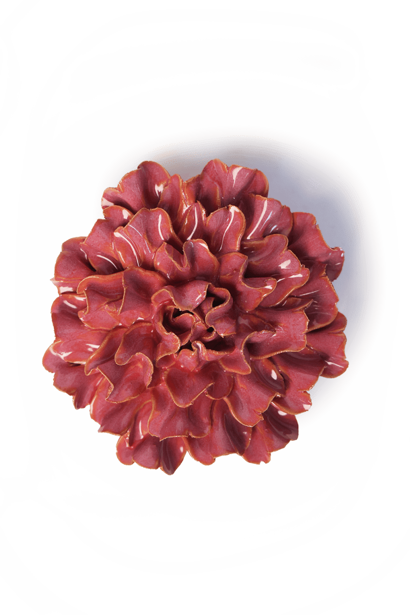 France Blush Pink Tundra Carnation - Chive UK Wholesale