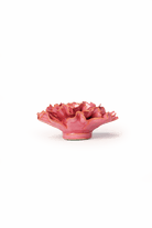 France Blush Pink Tundra Carnation - Chive UK Wholesale