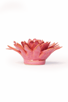 France Blush Pink Strawflower - Chive UK Wholesale